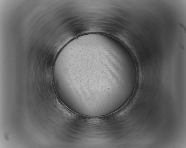 X0000101651137200807241349