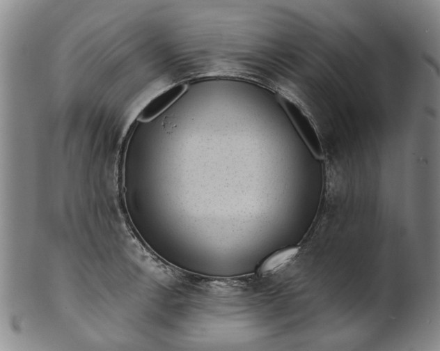 X0000101651138200807241349