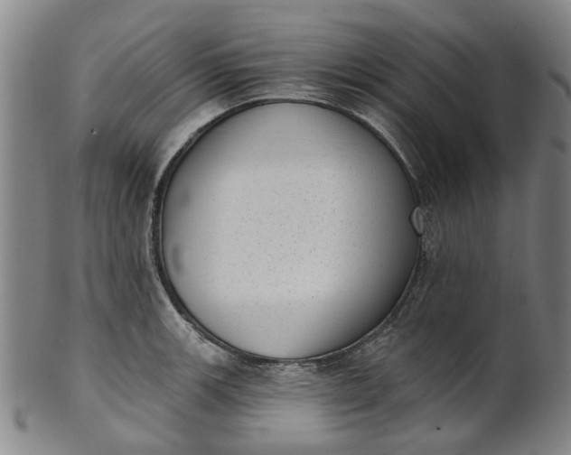 X0000101651139200807241349