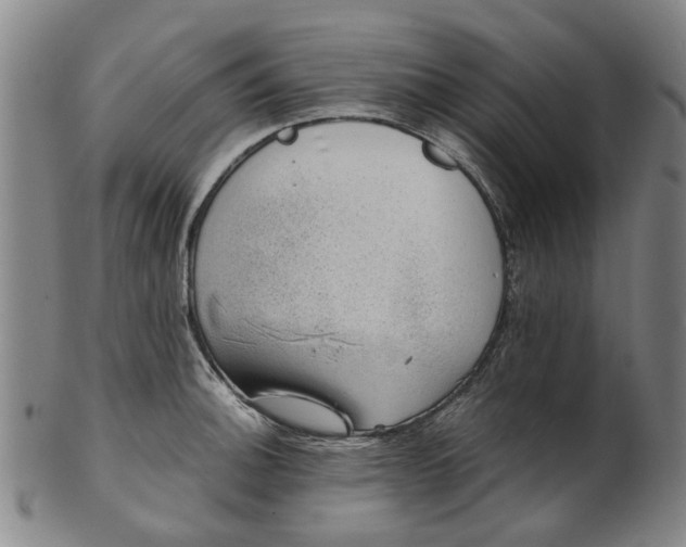 X0000101651140200807241349