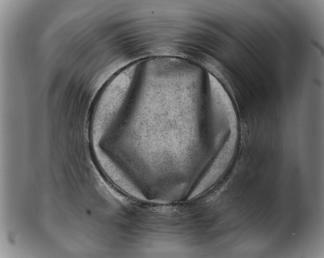 X0000101651141200807241349