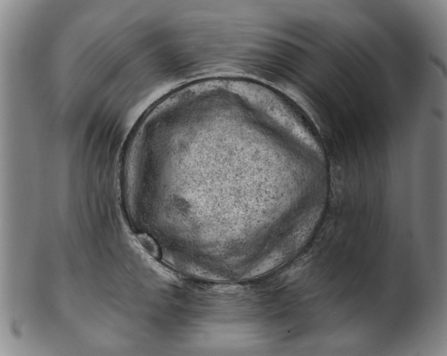 X0000101651142200807241349