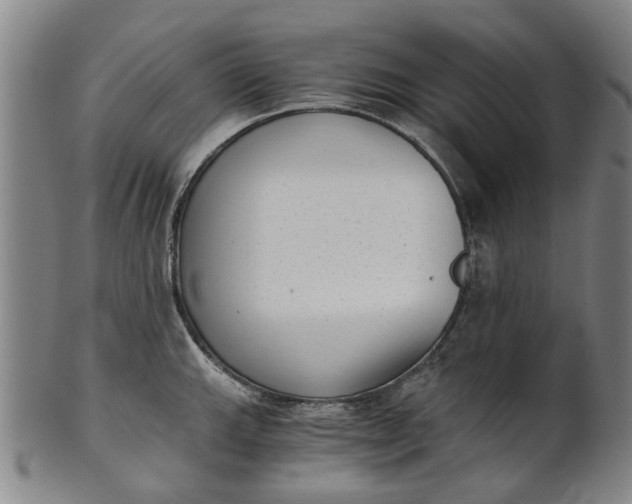 X0000101651143200807241349