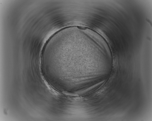 X0000101651144200807241349