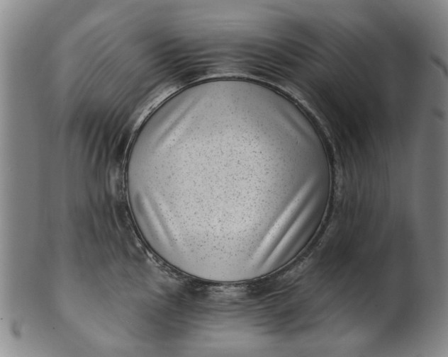 X0000101651145200807241349