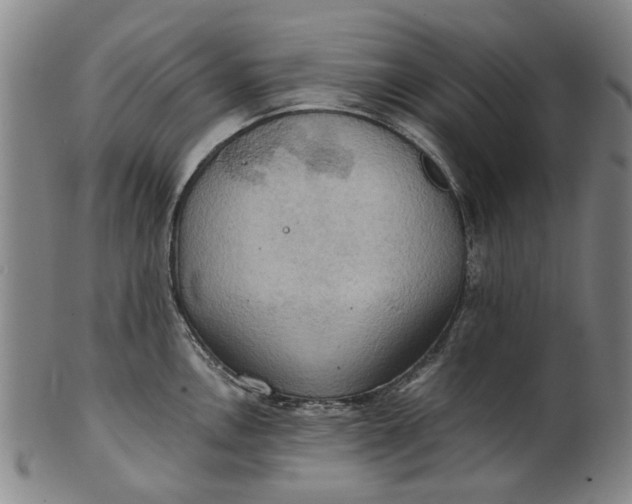 X0000101651146200807241349