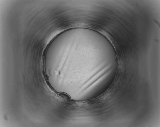 X0000101651147200807241349