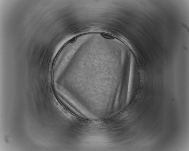 X0000101651148200807241349