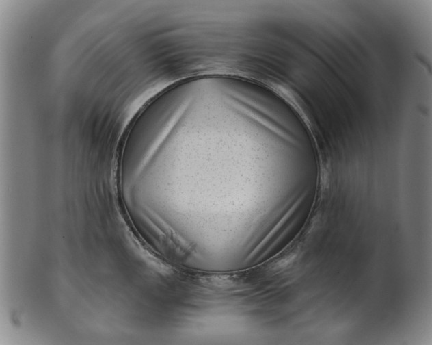 X0000101651149200807241349