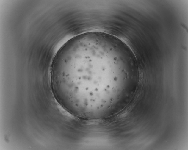 X0000101651151200807241349