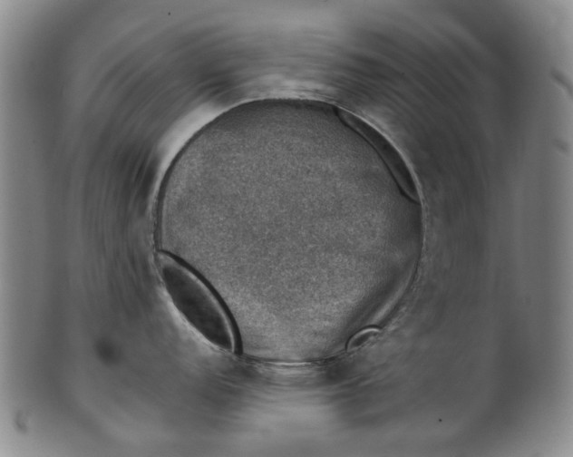 X0000101651152200807241349