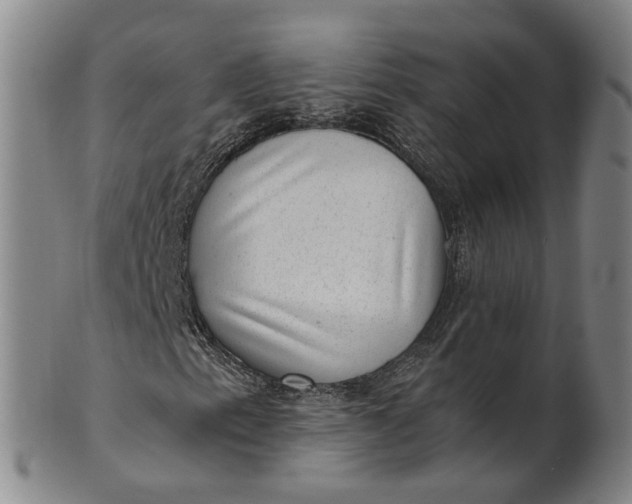 X0000101651153200807241348