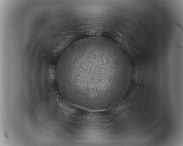 X0000101651154200807241348