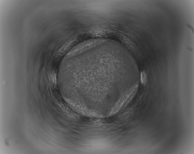 X0000101651155200807241348