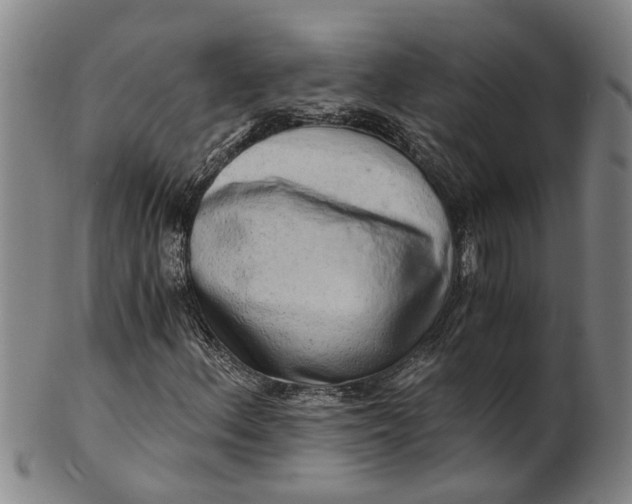 X0000101651156200807241348