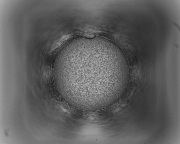 X0000101651157200807241348