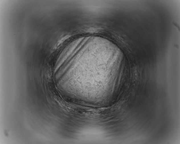 X0000101651158200807241348