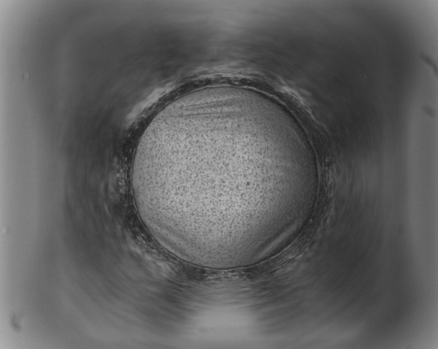 X0000101651159200807241348