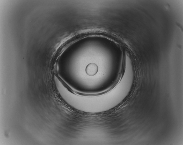 X0000101651160200807241348