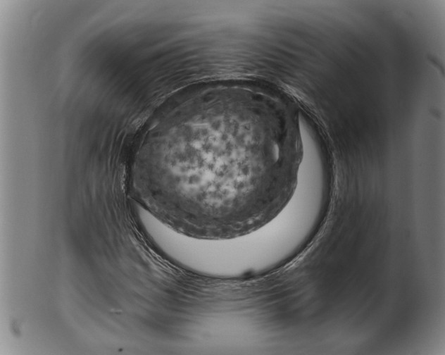 X0000101651161200807241348