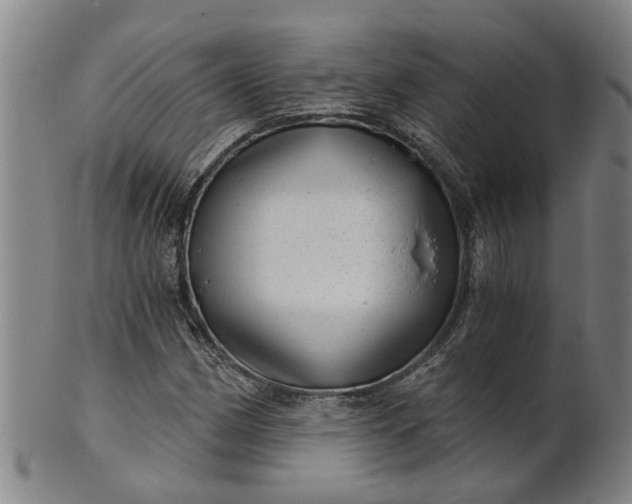 X0000101651162200807241348