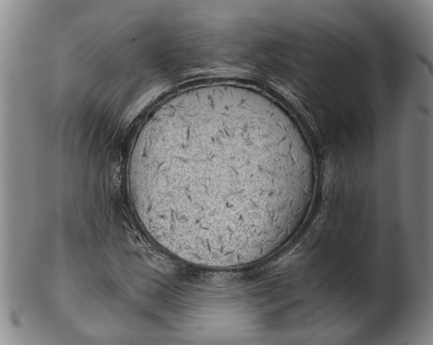 X0000101651163200807241348