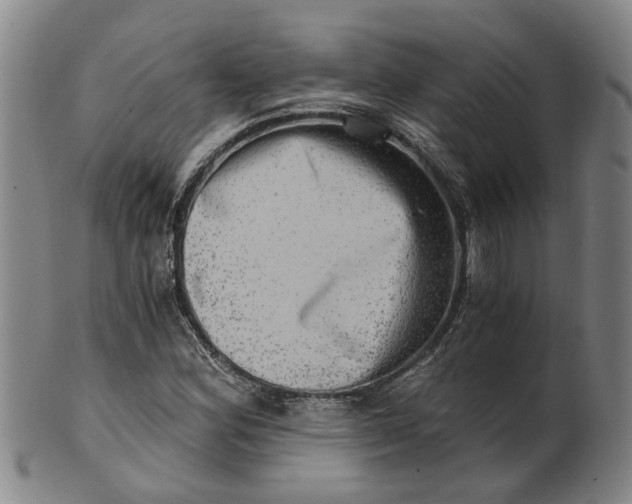 X0000101651164200807241348