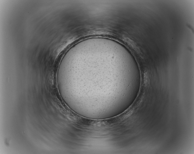 X0000101651165200807241348