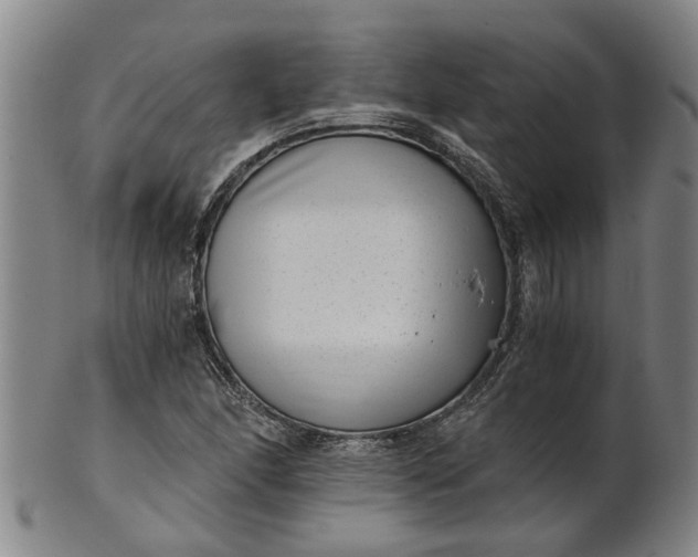 X0000101651166200807241348