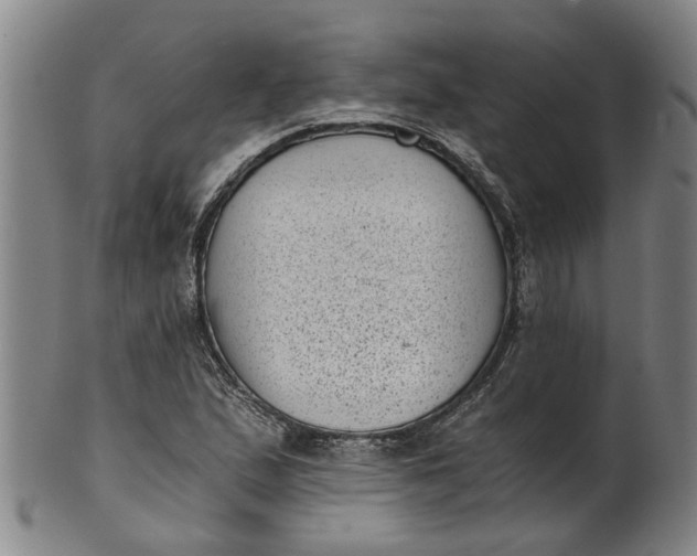 X0000101651167200807241348