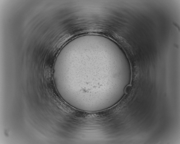 X0000101651169200807241348