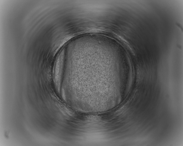 X0000101651170200807241348