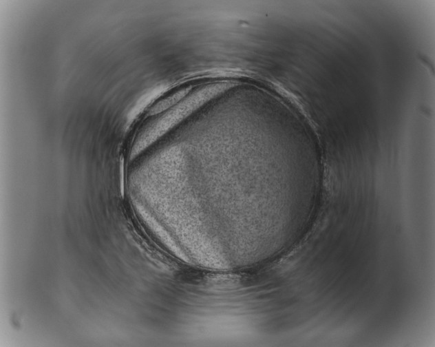 X0000101651171200807241348