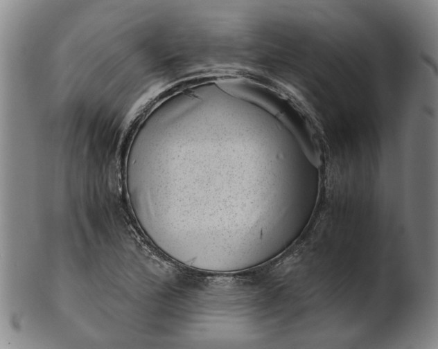 X0000101651172200807241348