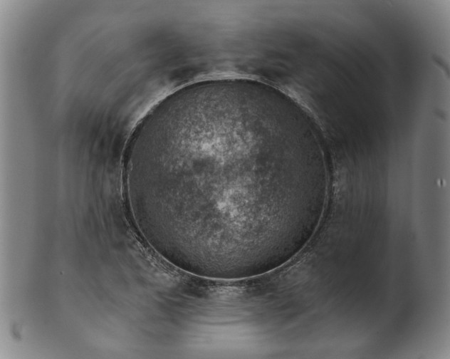 X0000101651173200807241348