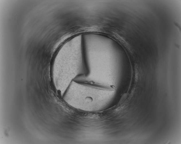 X0000101651174200807241348