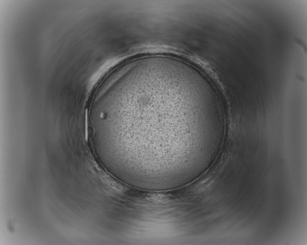 X0000101651175200807241348