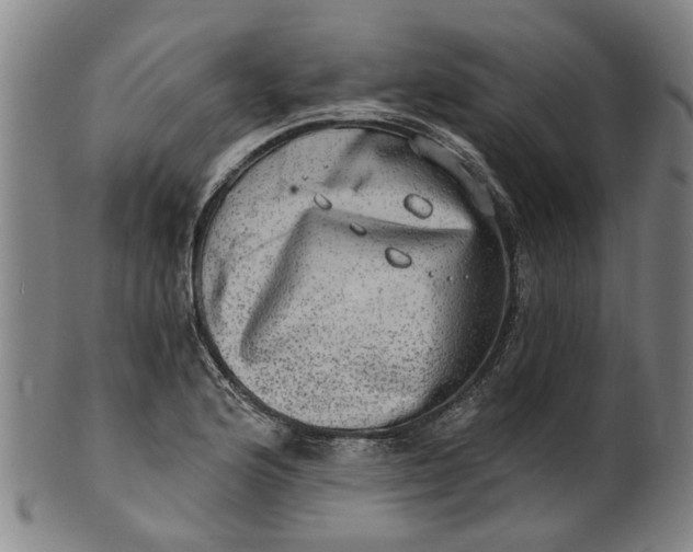 X0000101651176200807241348