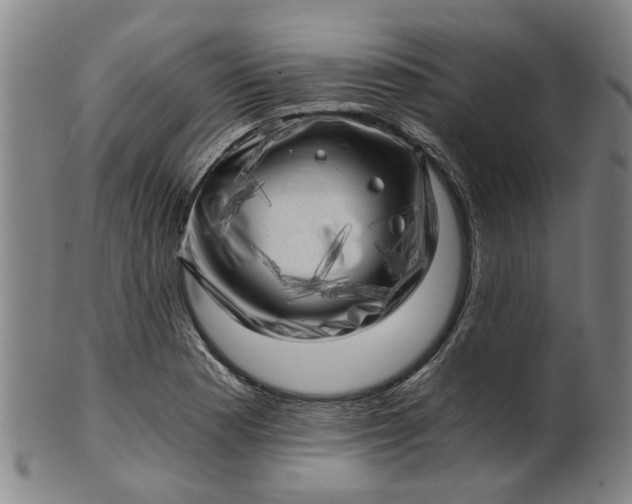 X0000101651177200807241348