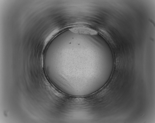 X0000101651180200807241348