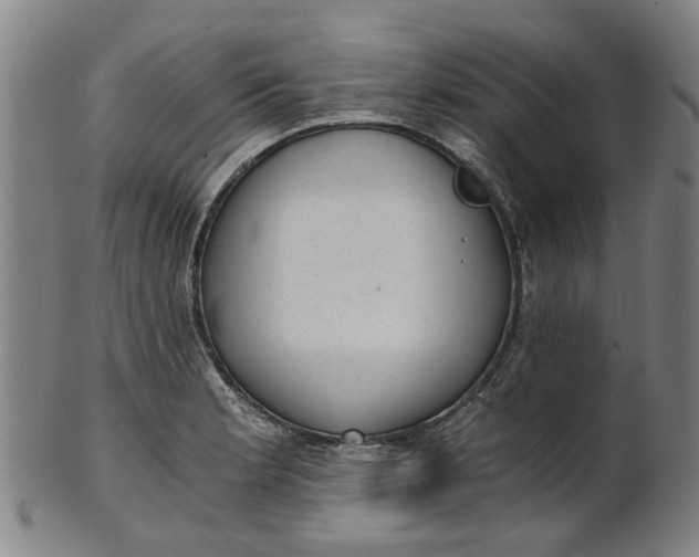 X0000101651181200807241348