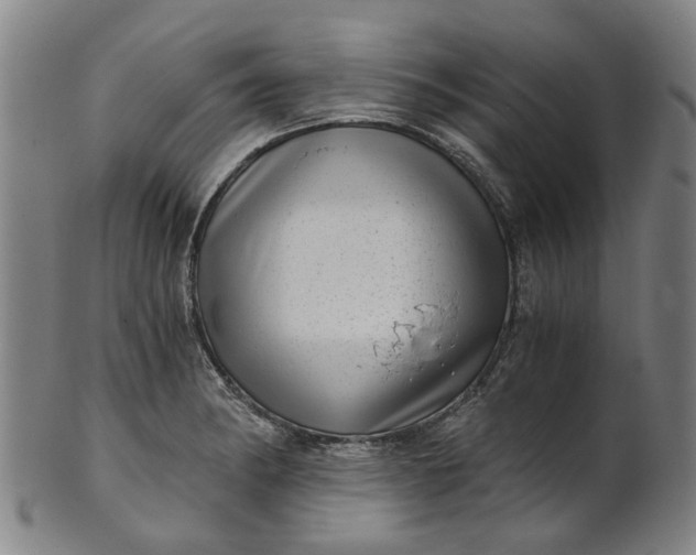 X0000101651182200807241348