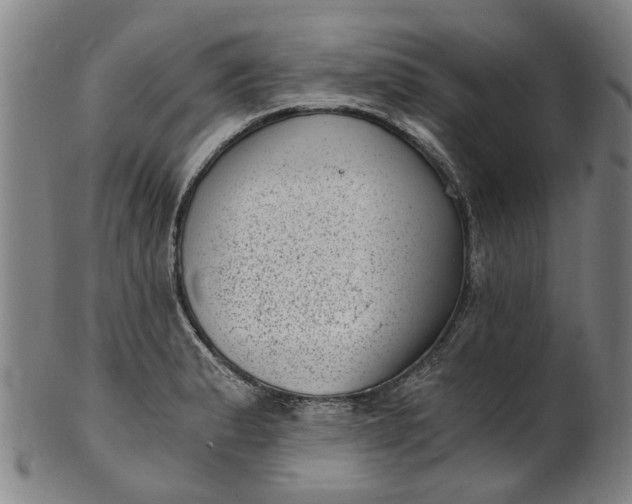 X0000101651183200807241348