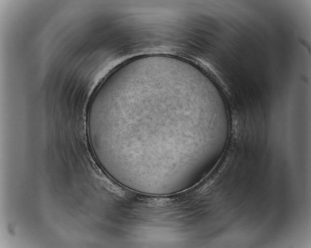 X0000101651184200807241348