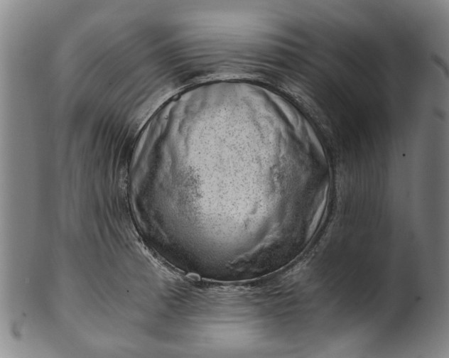 X0000101651185200807241348