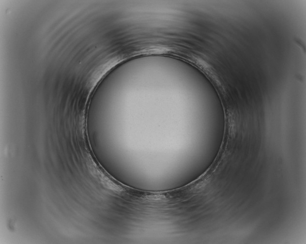 X0000101651186200807241348