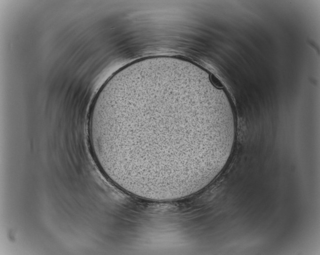 X0000101651187200807241348