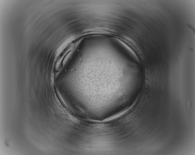 X0000101651188200807241348