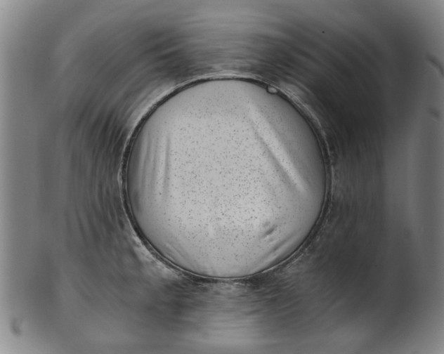 X0000101651189200807241348