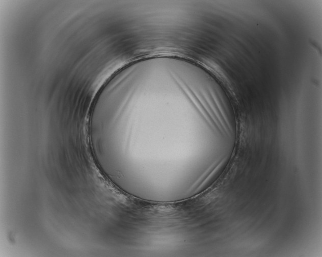 X0000101651190200807241348